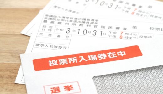 【衆議院選挙】政治が分からない素人でも選挙投票に行くべき理由【比例】【政党】